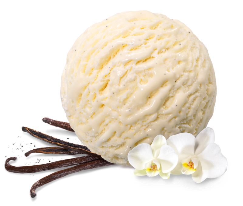 Mövenpick Vanilla Dream
