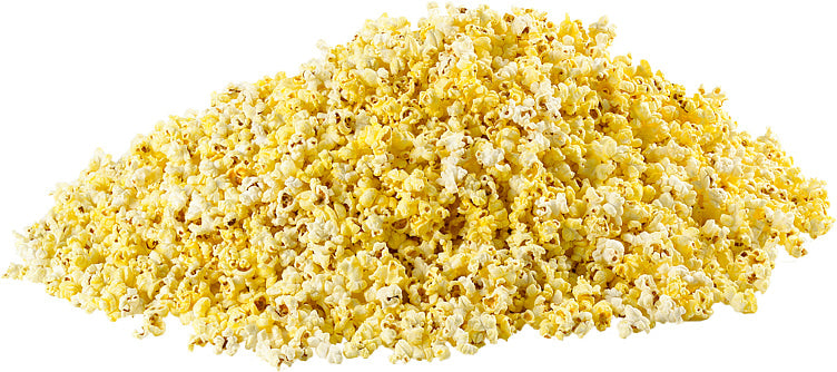 Popcorn Salt 116L Sundlings